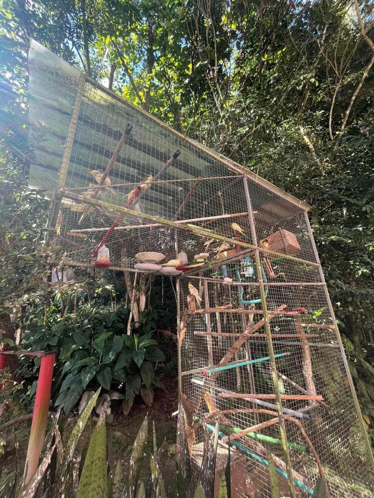 Ape Do Salomao Leilighet Balneário Camboriú Eksteriør bilde
